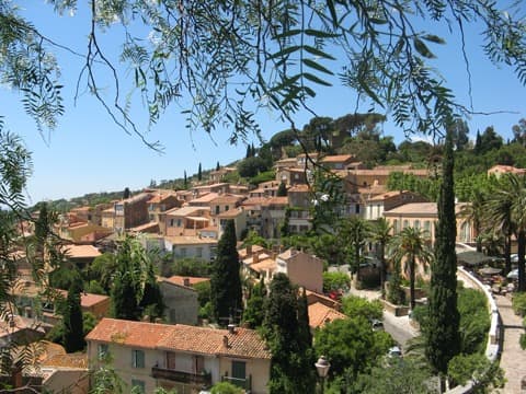 Peintre Bormes-les-Mimosas