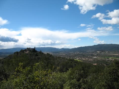 Peintre Forcalqueiret