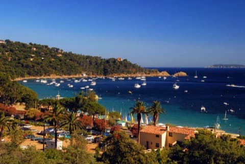 Peintre Le Lavandou
