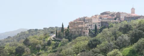 Peintre Ramatuelle