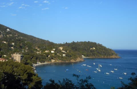 Peintre Rayol-Canadel-sur-Mer