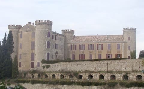 Peintre Saint-Martin-de-Pallières