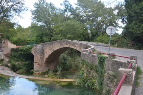 Peintre Salernes