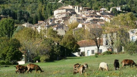 Peintre Seillans
